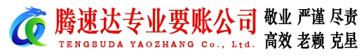 河东腾速达清债公司